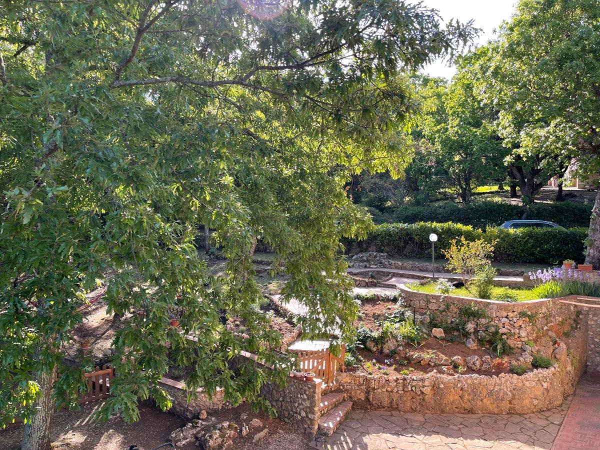 Villa Lilia By Let Siena Exteriör bild
