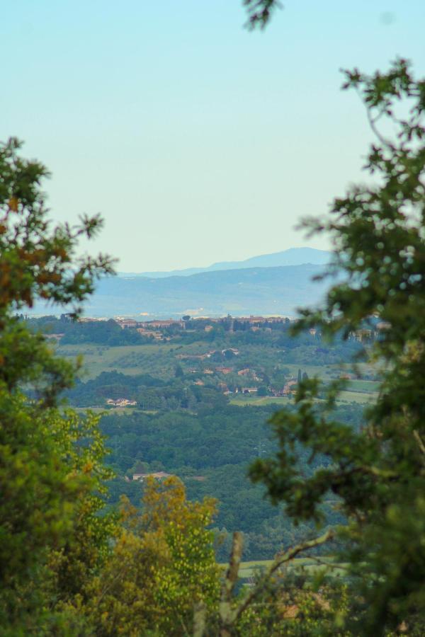 Villa Lilia By Let Siena Exteriör bild